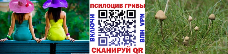 Псилоцибиновые грибы Psilocybe  Евпатория 